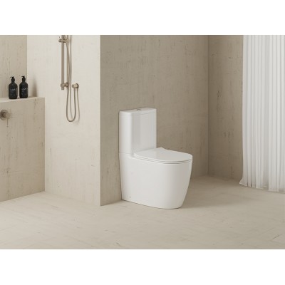 How to choose the right toilet?