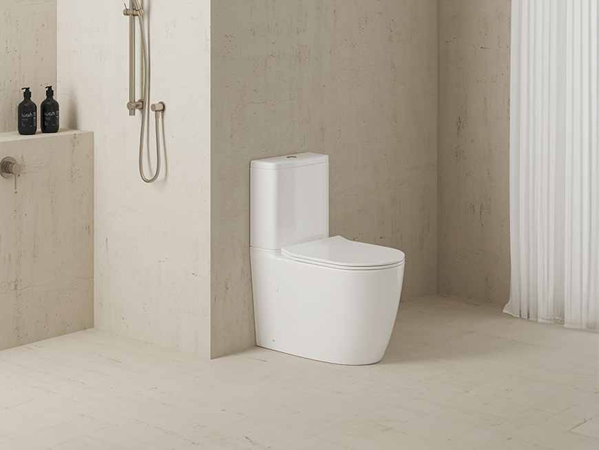 How to choose the right toilet?